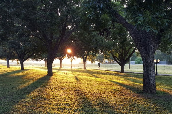 Parks and entertainment areas